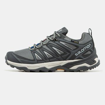 Кросівки Salomon Speed Cross Pro Gore-Tex Thinsulate Grey 22040-41 фото